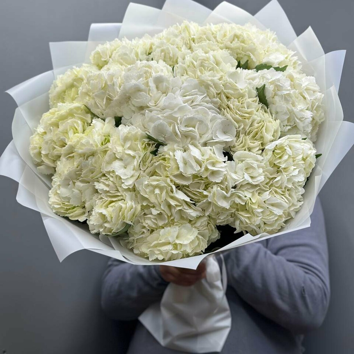 Букет из 5 белых гортензий в бежевой пленке